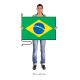 Brazília vlajka