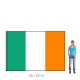 Írsko vlajka